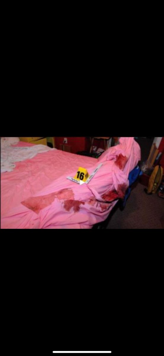 TAZWRLD's tweet photo. Gypsie rose crime seen leake #gypsie #gypsieeose #leak #murder #CrimeNews #crimescene 📼 https://t.co/7E2NbWCdjQ