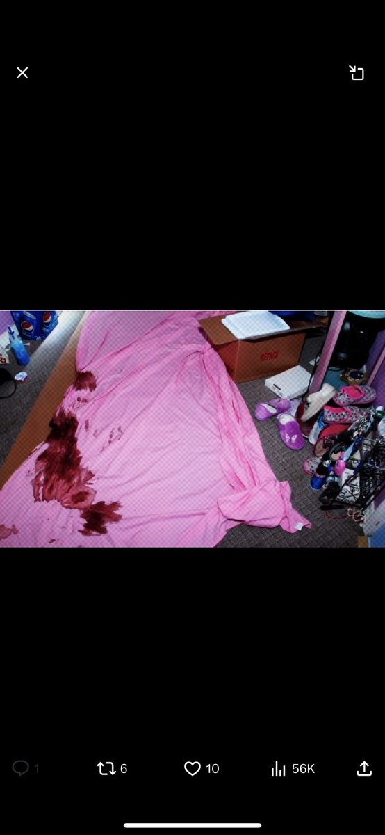 TAZWRLD's tweet photo. Gypsie rose crime seen leake #gypsie #gypsieeose #leak #murder #CrimeNews #crimescene 📼 https://t.co/7E2NbWCdjQ