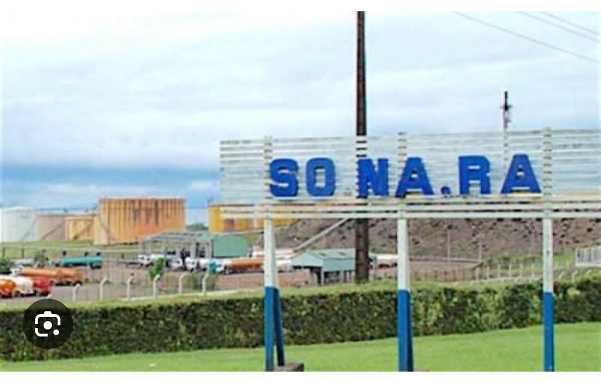 J'ai lu le communiqué de presse de la SNH et le trouve plutôt absurde. Lorsque j'ai exposé le scandale de corruption de Glencore il y a plus de deux ans, la SNH a prétendu qu'il ne pouvait y avoir aucune corruption car elle était interdite par leurs règlements intérieurs.