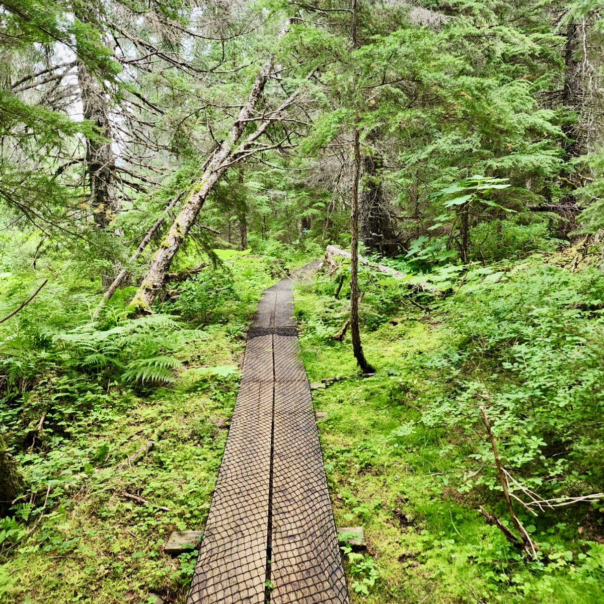 Kelly Shrein, AKTOY2022 (@kellyshrein) on Twitter photo Spent the day in Girdwood at ASD’s Professional Learning Community Launch! Teacher leaders, site-based specialists and principals unpacked A LOT, and great conversations were had. We are so excited for this upcoming school year! 🍎 <a href="/ASDschools/">Anchorage School District</a> Spent the day in Girdwood at ASD’s Professional Learning Community Launch! Teacher leaders, site-based specialists and principals unpacked A LOT, and great conversations were had. We are so excited for this upcoming school year! 🍎 <a href="/ASDschools/">Anchorage School District</a>
