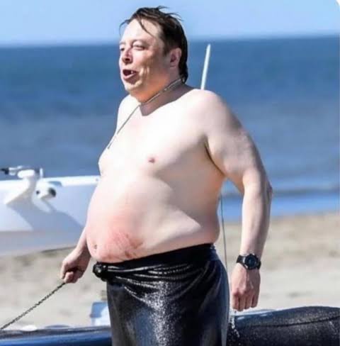 PamphletsY's tweet image. 🚨 FACT CHECK - MUSK🗣️:
&quot;We Coup who we want&quot;
❌❌❌ FALSE ❌❌❌
🇧🇴 Evo Morales ❌
🇧🇴 Luis Arce ❌
🇻🇪 Nicolás Maduro ❌