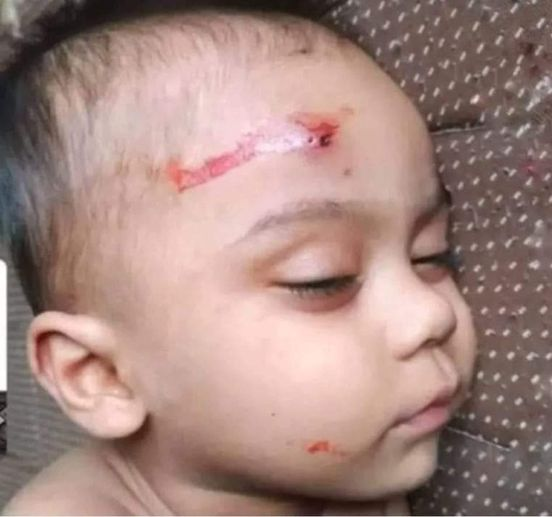 Basherkella - বাঁশেরকেল্লা tweet media