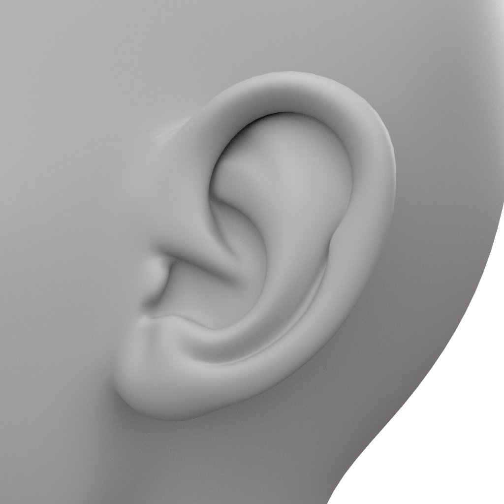 ChacahiN's tweet photo. 耳👂
#3dcg #topology #maya #zbrush #d3d https://t.co/7pQj67bJv2