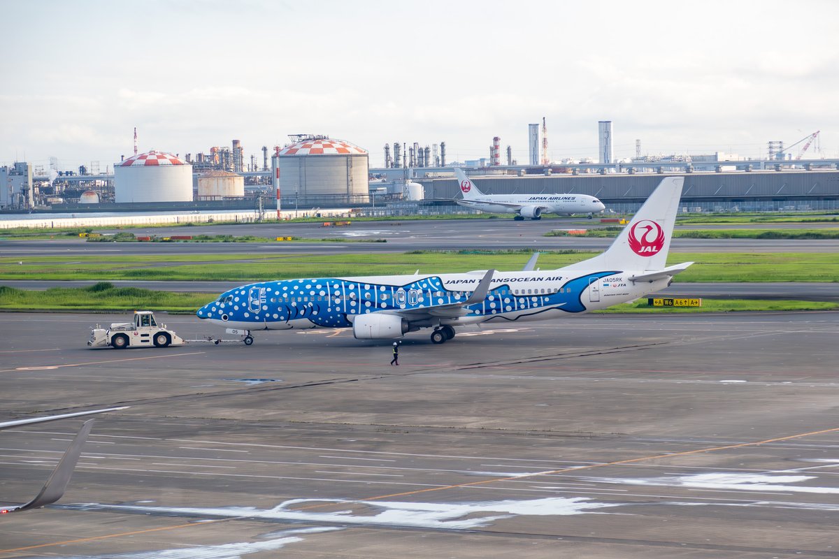 naogoo2's tweet photo. 羽田空港でジンベイジェット
#羽田空港 #HND #日本トランスオーシャン航空 #JTA
#Boeing737_800 #JA05RK
#Canon #PowerShot #G5XMarkII
シャッタースピード1/500絞り4.0ISO125焦点距離44mm https://t.co/DE1Vj1zgx1