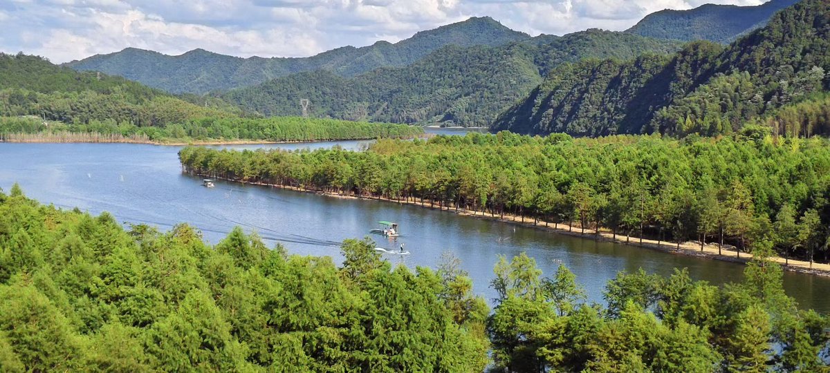 web3_home's tweet image. 大美皖南！！！！

真的美啊，318皖南川藏线，三步一个景！！！位置缺点就是路是真不好开，全是大弯路

#318川藏线