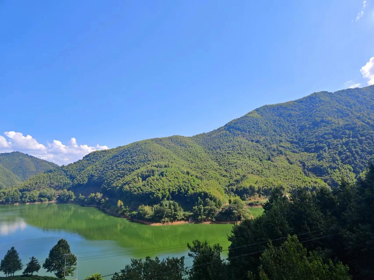 web3_home's tweet image. 大美皖南！！！！

真的美啊，318皖南川藏线，三步一个景！！！位置缺点就是路是真不好开，全是大弯路

#318川藏线