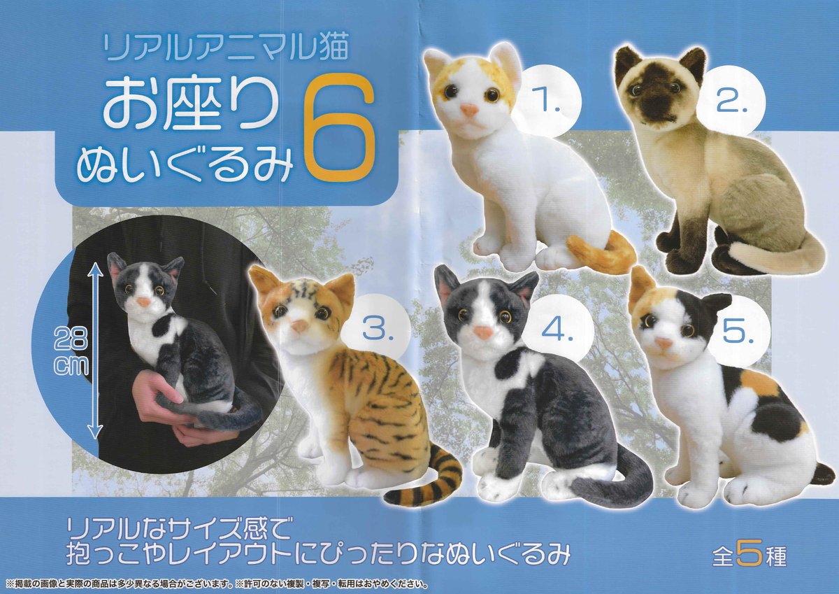 ❣今日の新景品❣ 大人気『リアルアニマル』から5種類の猫のぬいぐるみ