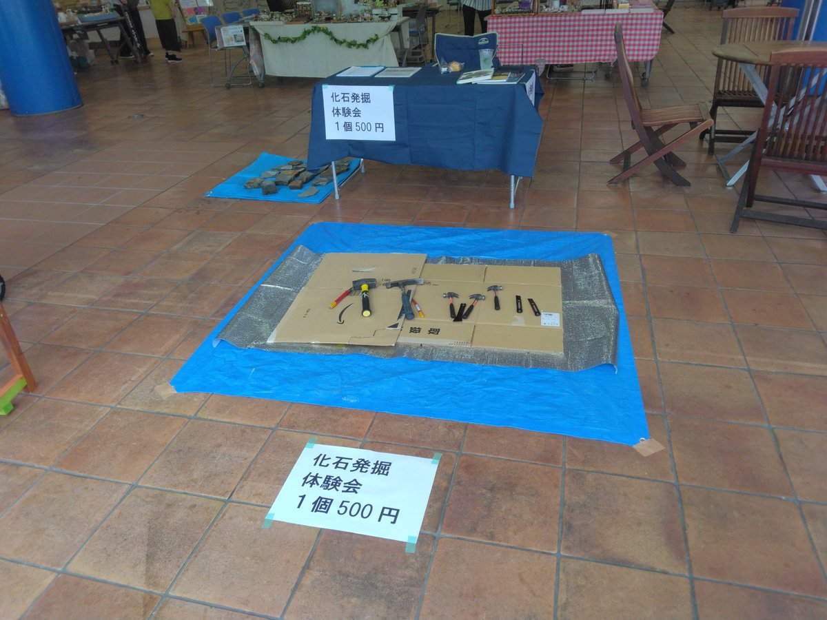 Mamenomarche's tweet photo. 《作る造る創る》出店者情報
店名　ネイチャーショップアンモナイト
内容　・木の葉化石の発掘体験
　　　・アンモナイト販売
発掘して木の葉化石を発見出来る体験どうですか？
化石の年代や解説付き

#まめのまるしぇ
#作る造る創る
#夏休み自由研究
#ネイチャーショップアンモナイト https://t.co/1m75wVomUL
