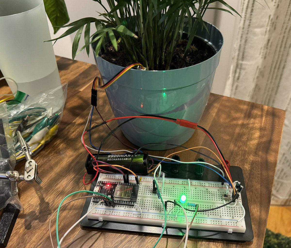bleugreenlab tweet picture