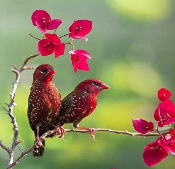 Enjoy weekend all followers enjoy 
Good morning