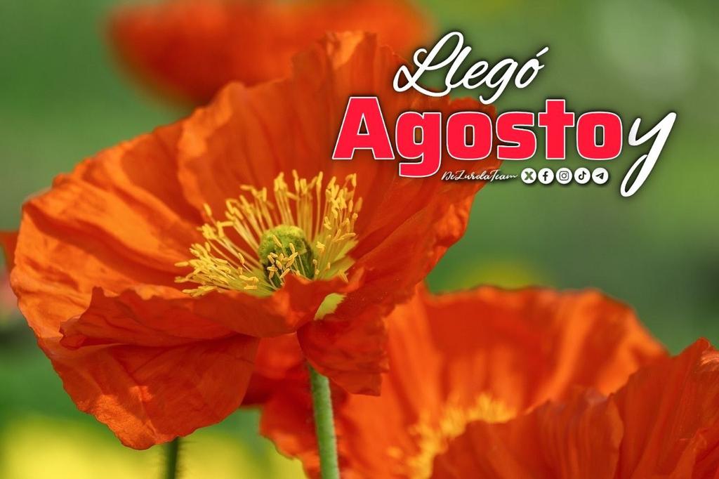 #LlegóAgostoY dedico esta flor a las personas que quiero.
<a href="/DeZurdaTeam_/">DeZurdaTeam 📳</a>
#DeZurdaTeam 🤝🐲