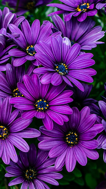 Kohled_Eyes_'s tweet photo. GM ✨

Move out of your comfort zone, Go beyond those boundaries, Start doing different, possibly uncomfortable and unpredictable things.
 𝗫 𝗙𝗔𝗠𝗜𝗟𝗬 💜 https://t.co/dQhx6HnlTv
