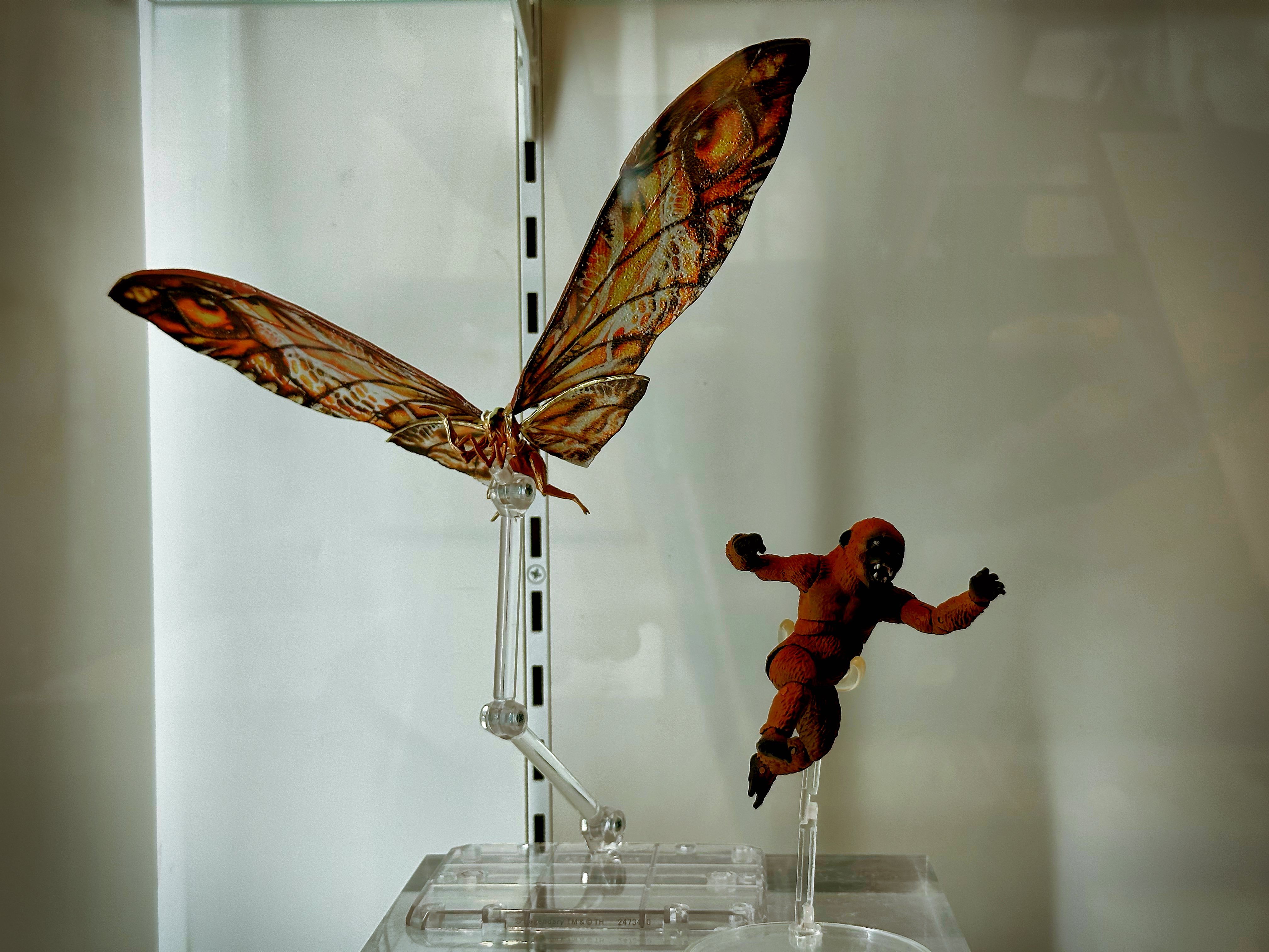 モンスターアーツ スーコ&モスラ SUKO & MOTHRA Amazon.com: TAMASHII NATIONS - Godzilla x Kong: The New