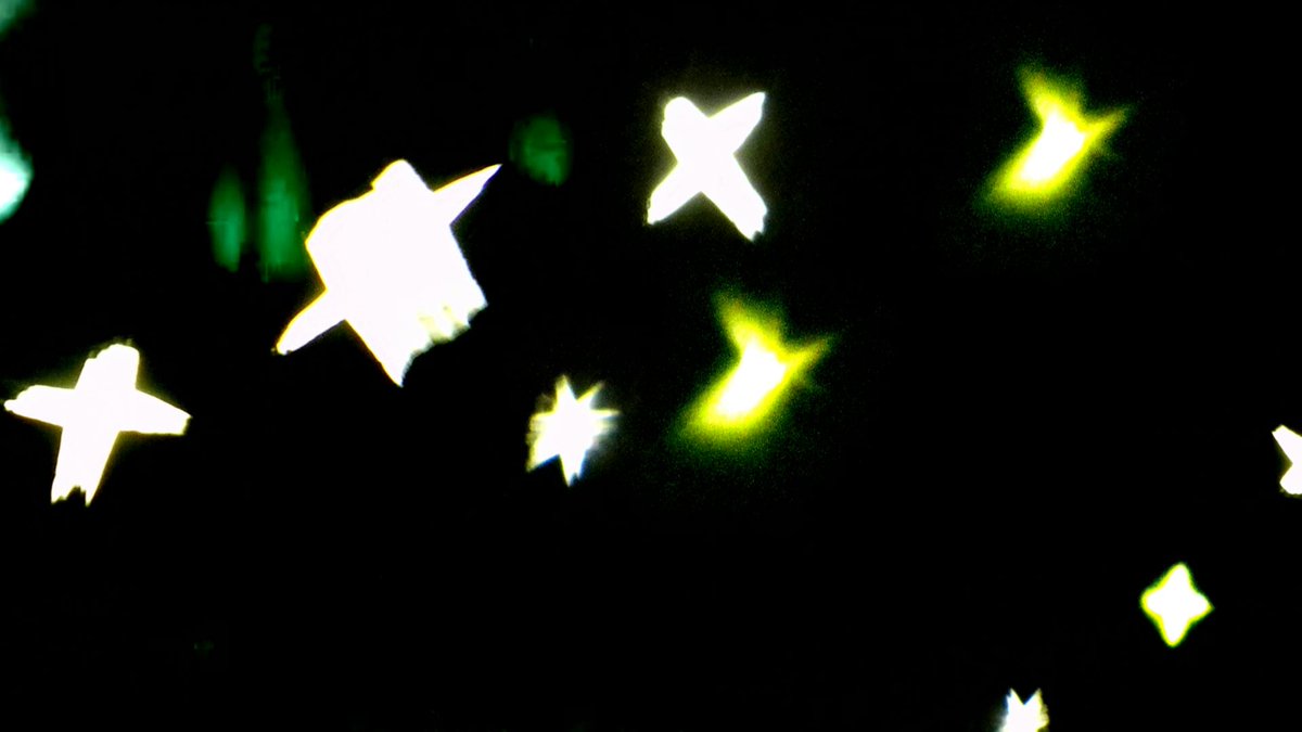 cari 049 tweet media