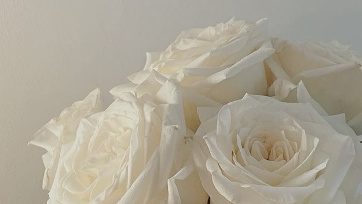 giselle (@boxofroses_ao3) / Posts / X