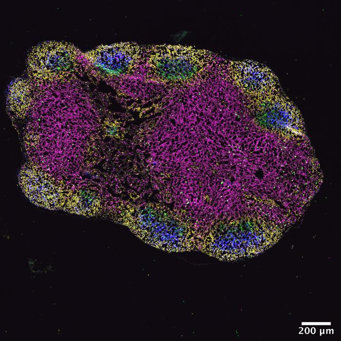 Science Magazine tweet media
