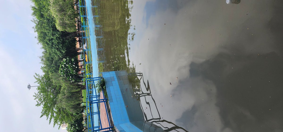 CAMKArora1's tweet photo. @SBM_UP @noida_authority This is Sector 51 Children's Park water body, need effective under ground disposal for this rain water logged from 3 days turned disease incubator https://t.co/GDamubojgE