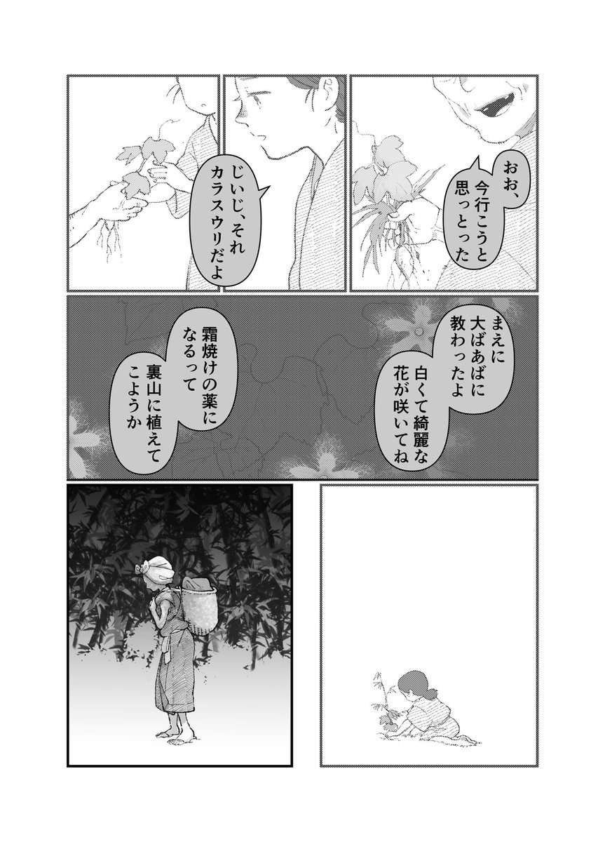 カラスウリの花に化かされる話3/3 