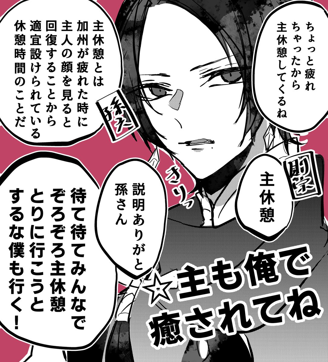加州清光発案の主休憩が許されている環境
みんなでぞろぞろやって来てとってもかわいい 