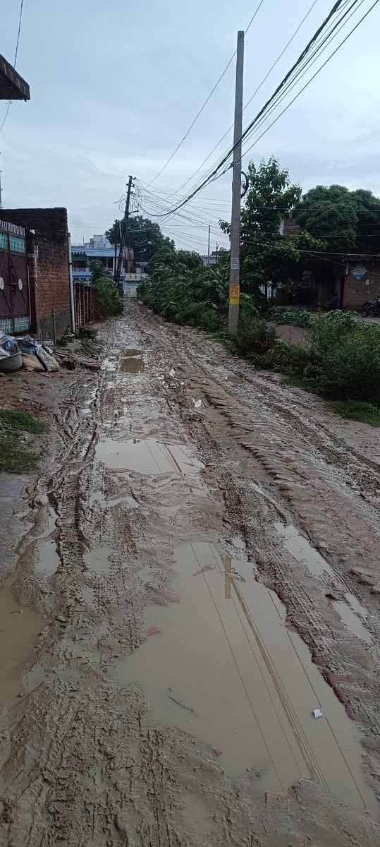 महोदया ये रास्ता लखीमपुर जिले के रामनगर कॉलोनी का है जो नगरपालिका क्षेत्र में आता है महोदया इसपे अच्छा खासा खंडज़ा लगा था सिचाई विभाग ने नहर पक्की कराने का कार्य किआ नहर की सारी मिट्टी मार्ग पे डाल दी ।महोदया पैदल निकलना भी मुश्किल है । <a href="/DmKheri/">DM LAKHIMPUR KHERI</a> <a href="/CMOfficeUP/">CM Office, GoUP</a> <a href="/BJPYogeshVerma/">Yogesh Verma</a>