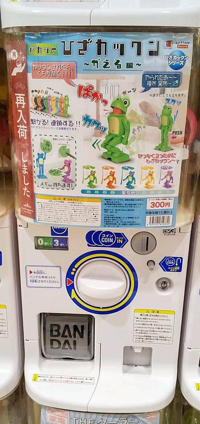 カエル ひざカックン かえる編 | 宮本忠博の趣味ブログ