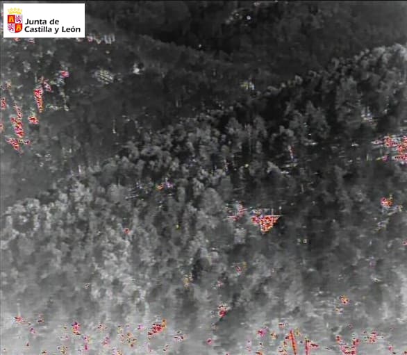 naturalezacyl's tweet photo. Situación #IFElHornillo favorable. Los medios terrestres han trabajado bien toda la noche. Desde primera hora se incorporan medios aéreos para comprobar puntos calientes y hacer descargas necesarias. No queda llama y se trabaja en cerrar el perímetro y enfriar puntos calientes https://t.co/FJUGDcQ2Wl
