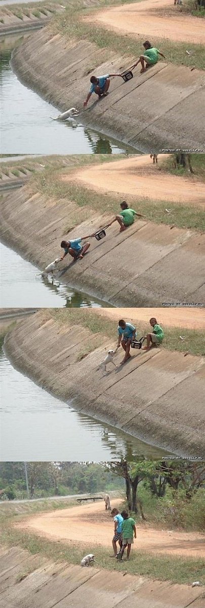 Helping someone without any greed is the real humanity