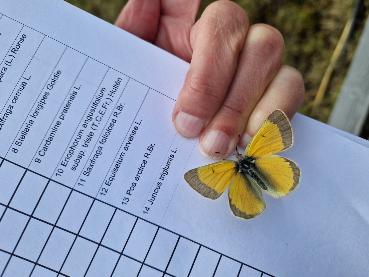 Zackenberg Research Station tweet media