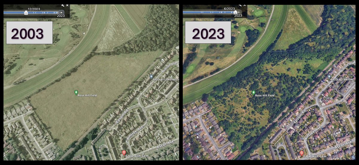 JDeeReed1's tweet photo. @Save_Rose_Hill Feel for you all.  How remarkable the transformation when nature is left alone.  Developers knowing the  'ecological loss' that will occur yet ploughing on regardless is disgraceful. https://t.co/HoAZrmYPTz