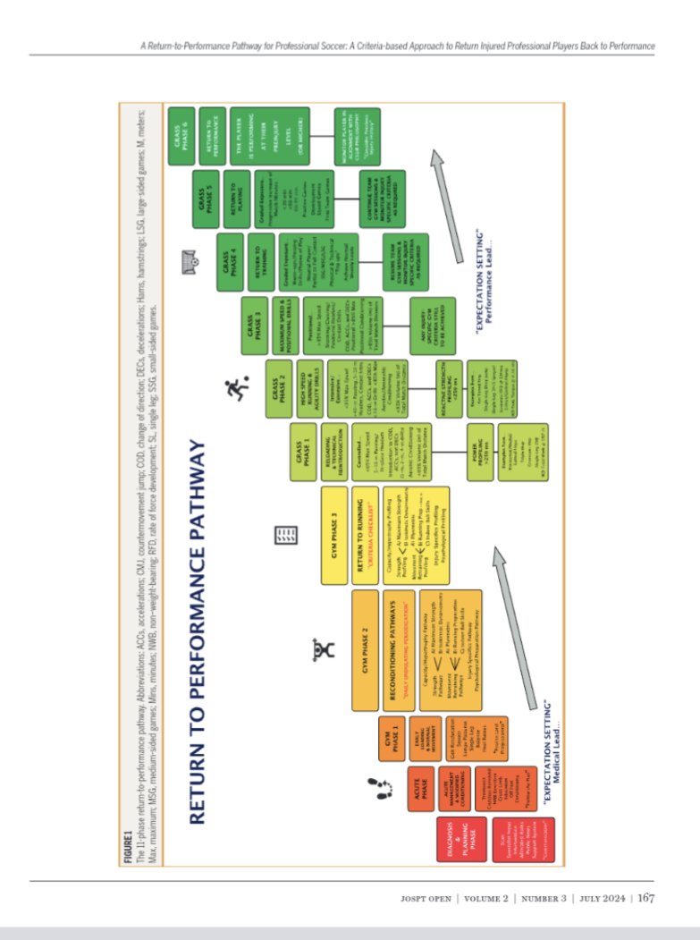 ⚽📊 A Return-to-Performance Pathway for Professional Soccer: A Criteria-based Approach to Return Injured Professional Players Back to Performance

jospt.org/doi/10.2519/jo…