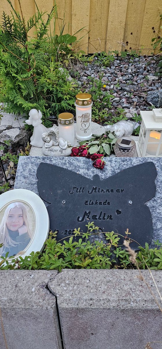 Polisnytt tweet media