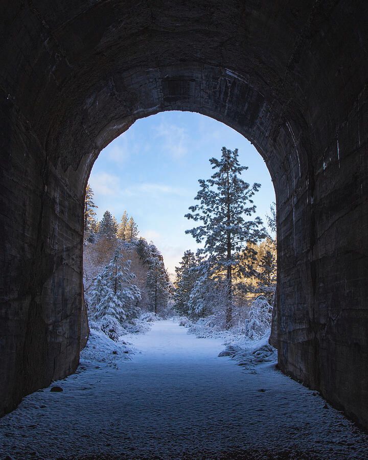 tpeakphotos's tweet image. Tunnel to Wonderland - Bizz Johnson Trail - Lassen County California

In my FAA/Pixels shop:
buff.ly/41EAjtv 

In my Etsy shop:
buff.ly/3RoUMxt 

#lassencounty #northerncalifornia #railstotrails