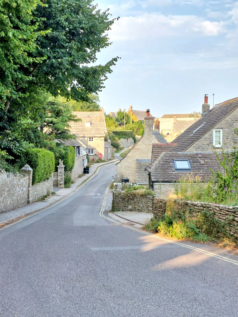 Catherine Polley tweet media