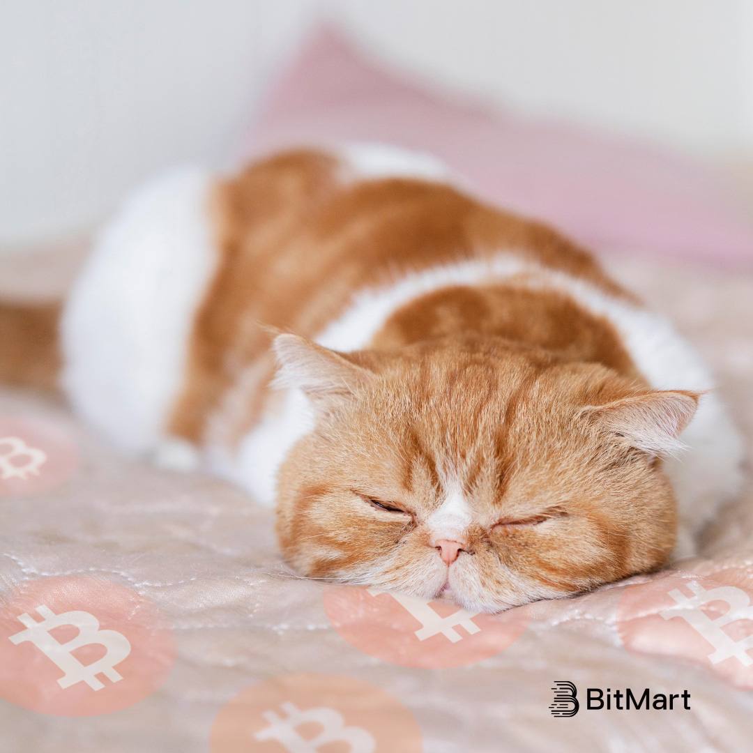 BitMart tweet media