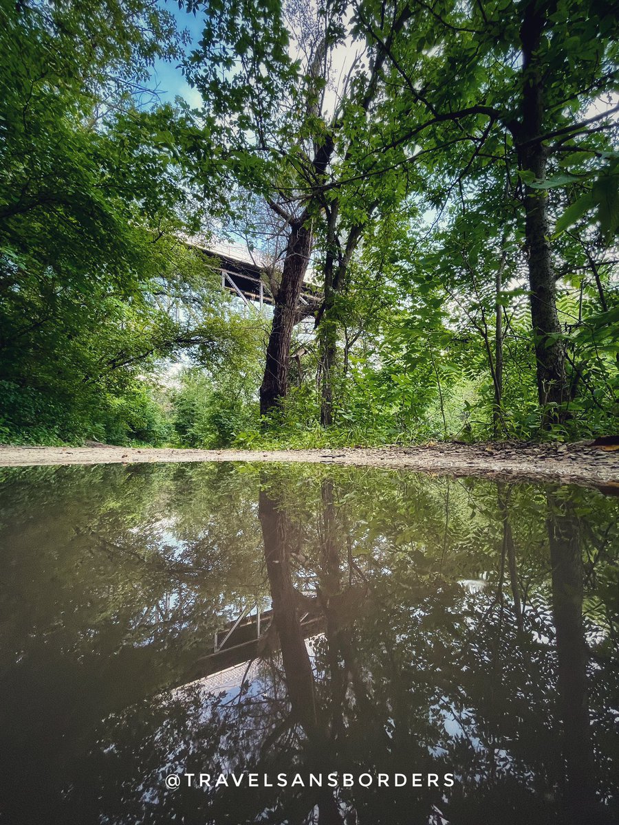 TravlSansBrders's tweet image. One of the most wonderful things in nature is a glance of the eye; it transcends speech; it is the bodily symbol of identity.
-Ralph Waldo Emerson 🧐🤗🙏

@MinneapolisPark @MeetMinneapolis @exploreminn 
#reflectionphotography #puddlegram
