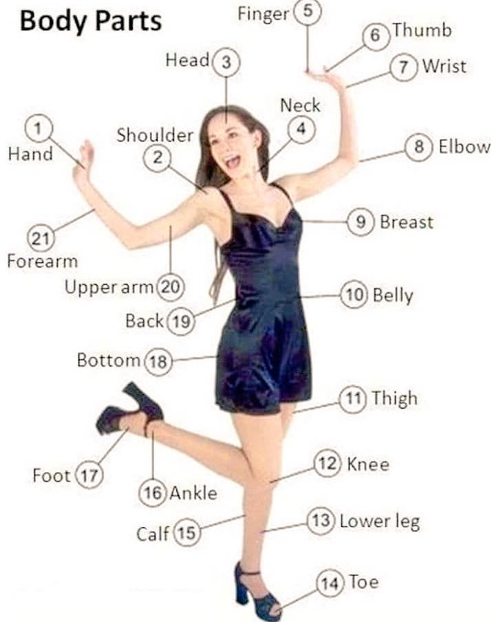 mathenglish4all's tweet photo. #Body #Parts #English https://t.co/6OU6B6a8sh