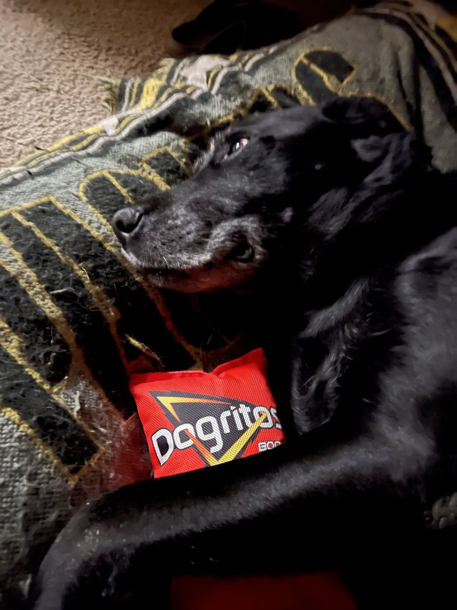 Luke Tadder tweet media