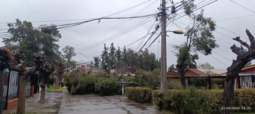 Mariposinea's tweet photo. @Enel_Informa_CL @Muni_Maipu se que debe haber alta demanda, necesitamos ayuda, pasaje Palermo. Calle victoria con O'Higgins como referencia. https://t.co/kTBDKZSUEu