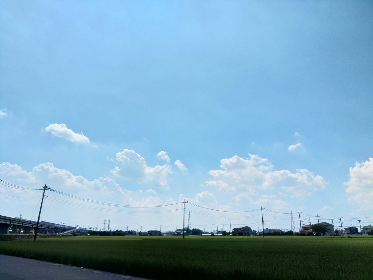 KTM819O4's tweet photo. #KassiValazza #今日も暑い https://t.co/UJwGCGSJ60