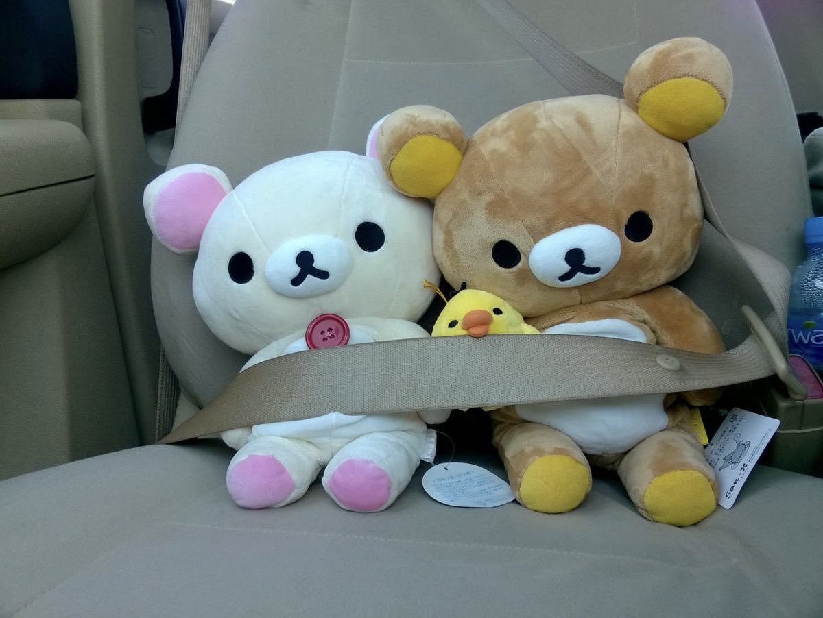 kitty (@sugaringkitty) on Twitter photo 