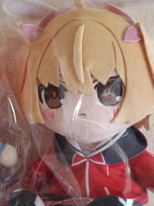 実物を間近で見るとお顔めっちゃ可愛いヨシミぬい