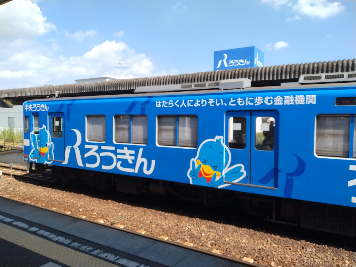 足柄のカメ on X