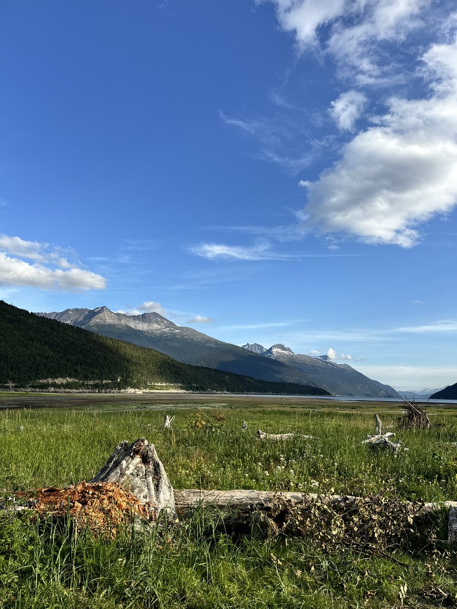 kobra__'s tweet photo. spent 12 hours outdoors today and it was magical https://t.co/g9v5R5WHmz