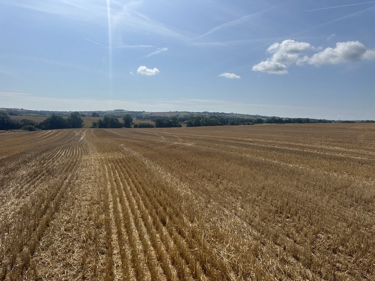Barley straw cleared as soon as it was baled due to strong demand this year!