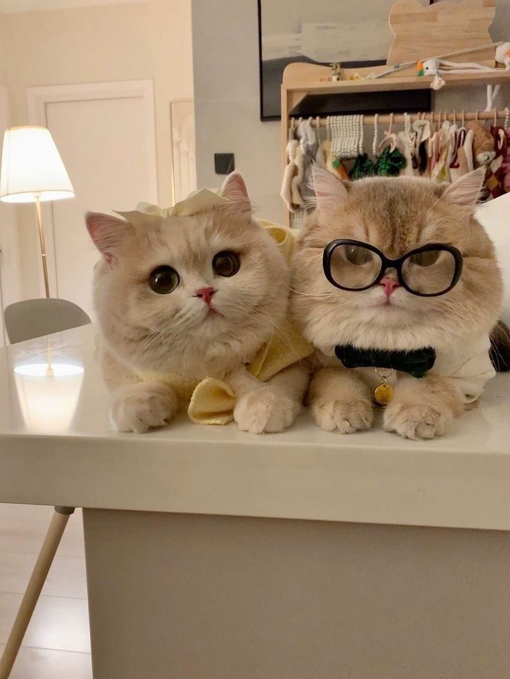 could be us 💞
