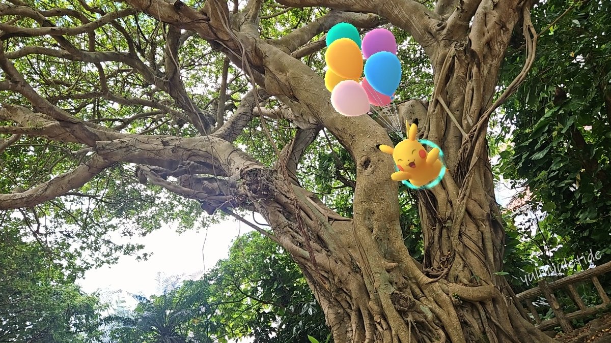 yulinstaryuPKGO's tweet photo. キジムナー探し
Looking for fairies living in 'gajumaru' or banyan trees
July 22 2024
📍: 希望ヶ丘公園 沖縄県那覇市 Okinawa, Japan
#GOsnapshot #ポケモンGO #PokemonGO #ARofTheDay #NoFilterARFriday #旅ポケGO #ピカチュウ #pikachu #そらをとぶピカチュウ #FlyingPIkachu https://t.co/WzpMhBBzjC