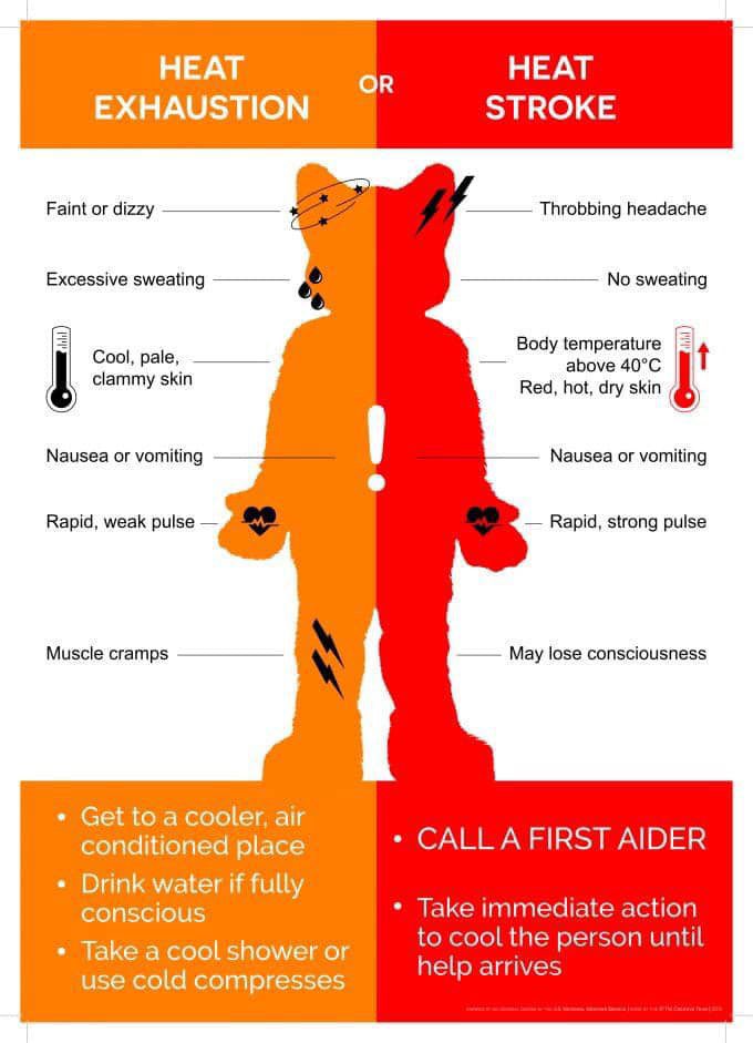 As we are now in the peak of the summer, we thought there would be no better time to share a friendly reminder on the symptoms of heat exhaustion/heat stroke.

Please remember to take regular breaks when fursuiting and drink plenty of fluids.

Stay safe and have a great weekend!