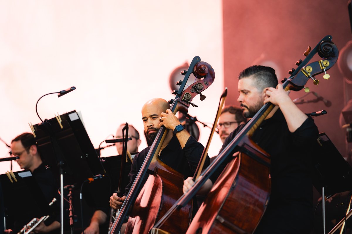 Lollapalooza tweet media