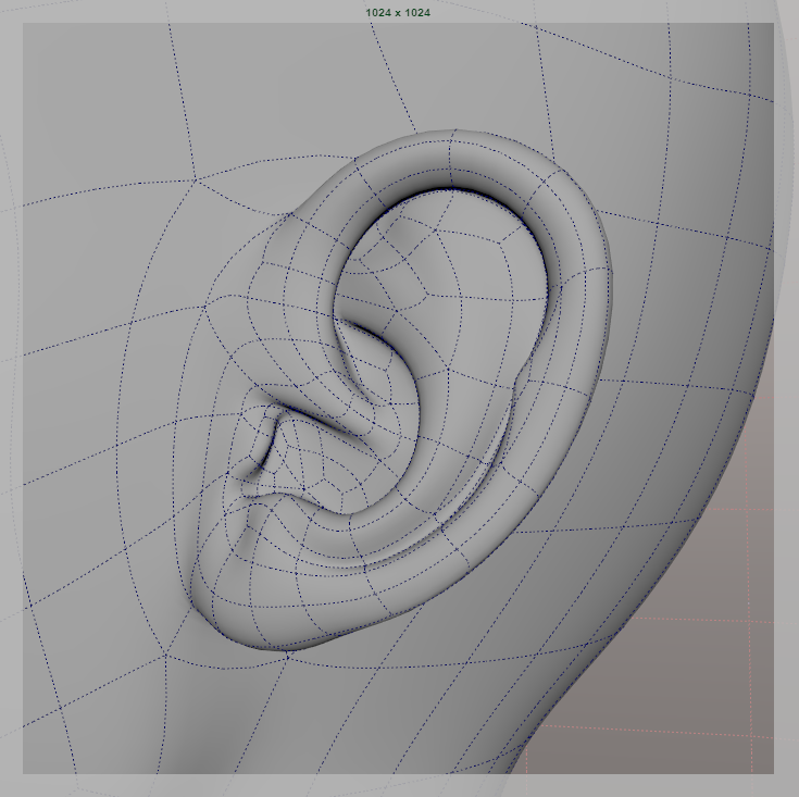 ChacahiN's tweet photo. ワイヤーフレームver👂
#3dcg #topology #maya #zbrush #d3d https://t.co/GWh8n4fHxQ