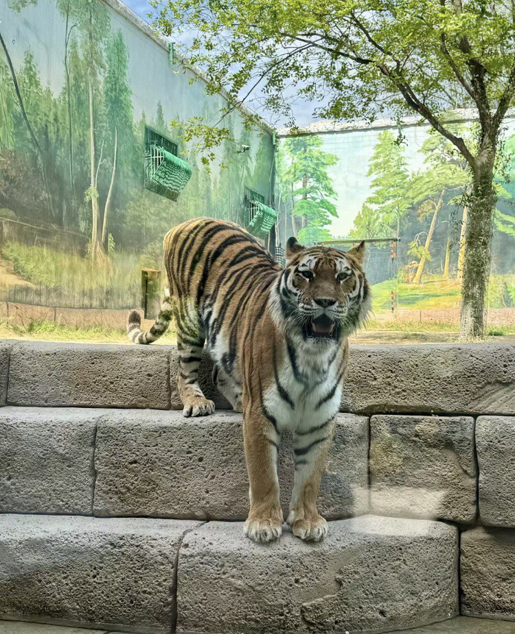 Life is bright and everything is lovely. The wind blows and the sun shines, you are free and at ease, just be happy!